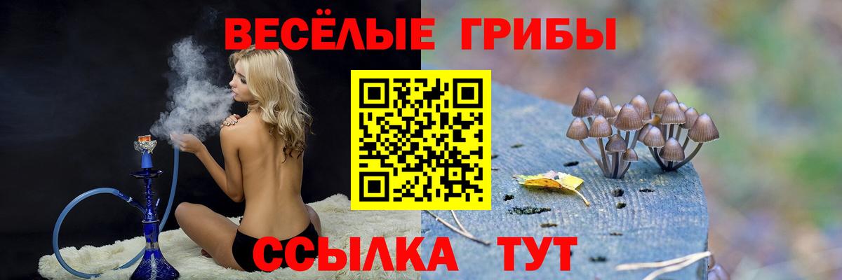 Сланцы  Псилоцибиновые грибы Psilocybine cubensis  Вход с VPN 